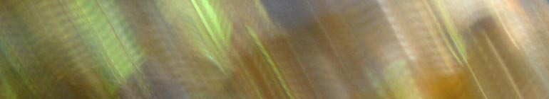 the anti experience of Ed header image 1
